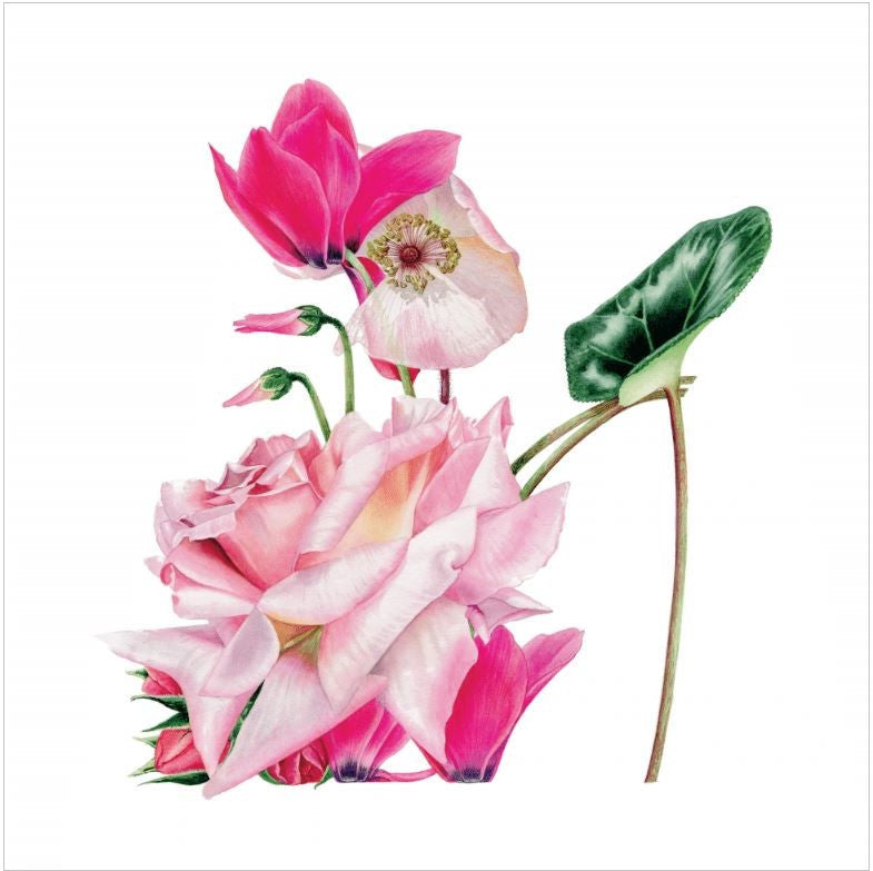 Pink Rose Slipper Card by Billy Showell