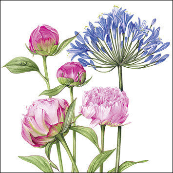 Agapanthus and Peonies Card by Billy Showell