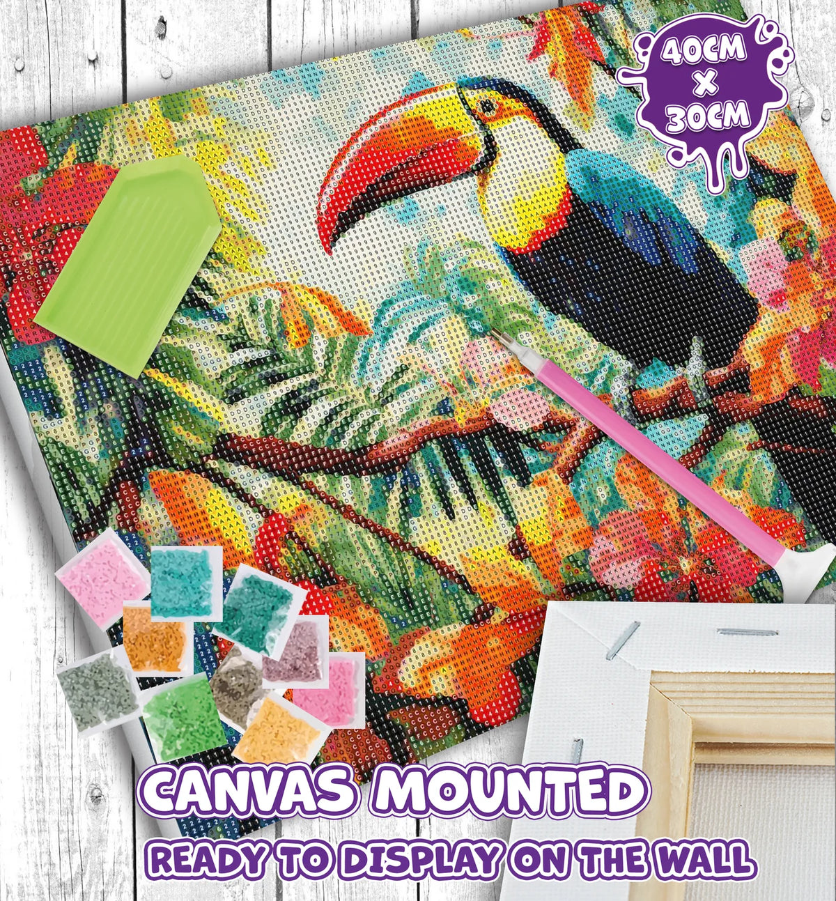 Toucan Diamond Art Canvas Kit