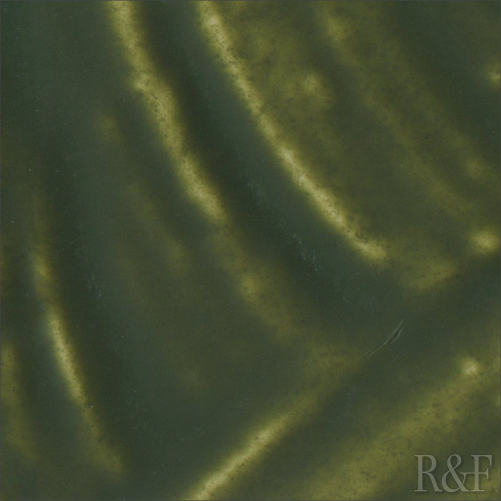 R&F Encaustic Paint 40ml – Green Earth