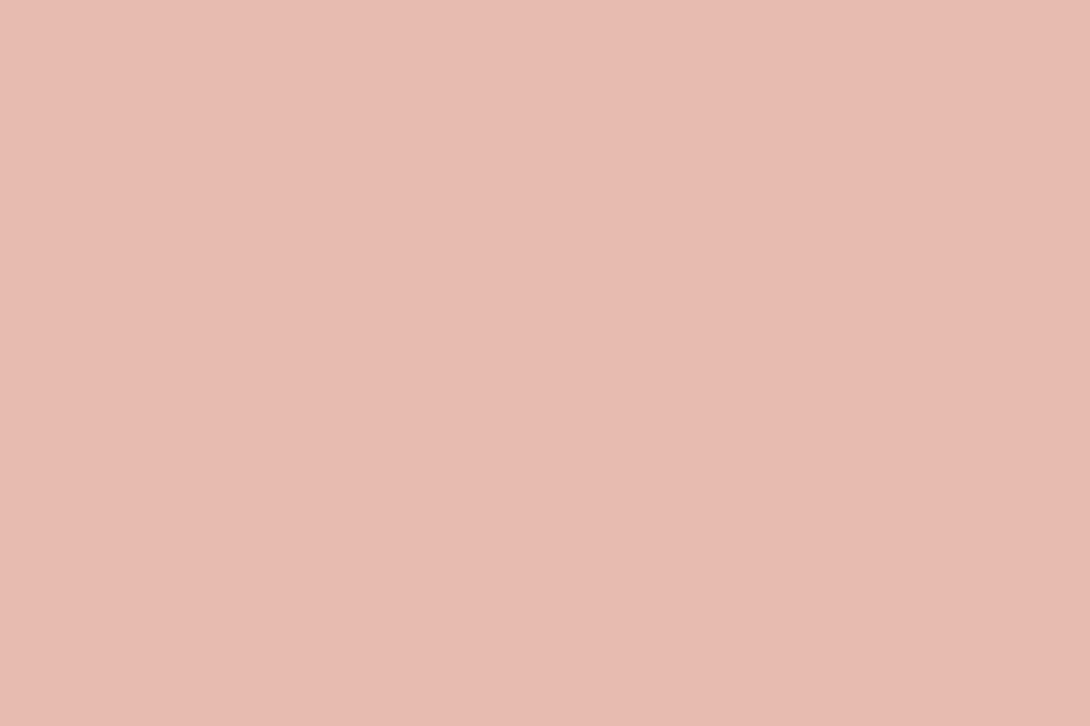 Montana Gold 400ml Spray Paint – Shrimp Pastell (CL2100)