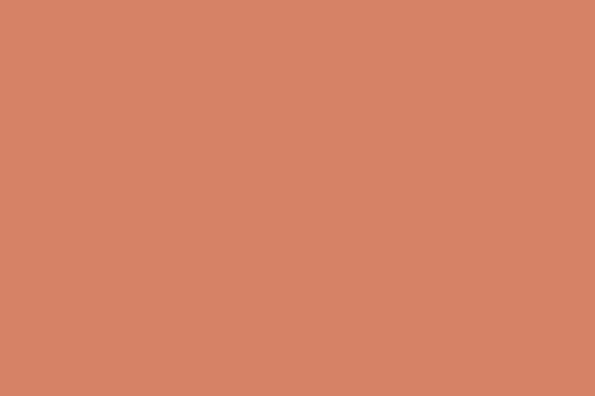 Montana Gold 400ml Spray Paint – Shrimp Dark (CL2130)