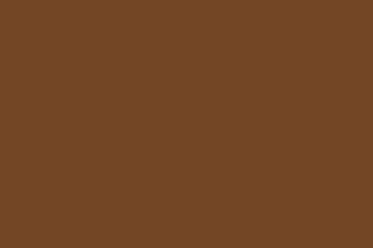 Montana Gold 400ml Spray Paint – Hazelnut (CL8310)