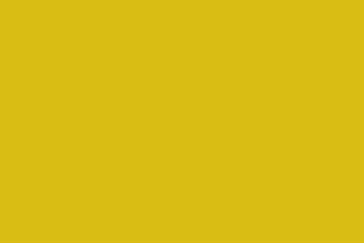 Montana Gold 400ml Spray Paint – Asia (G1040)