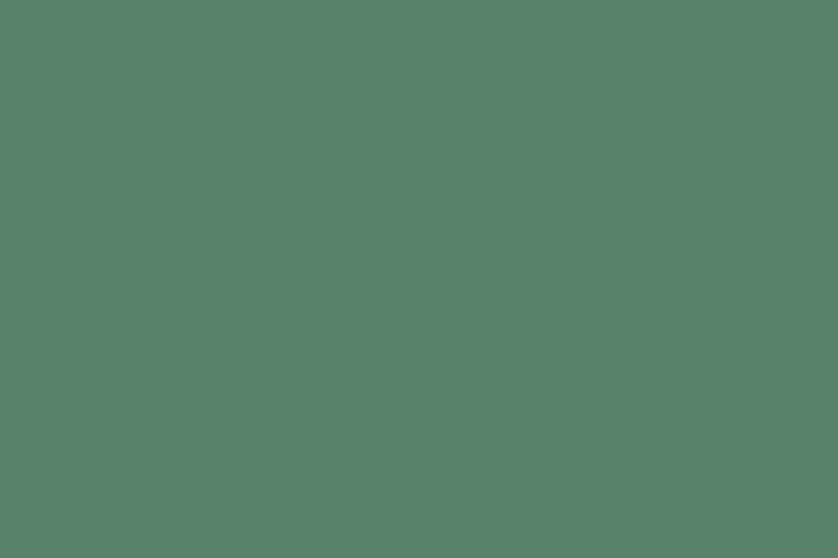 Montana Gold 400ml Spray Paint – Malachite Dark (G6150)