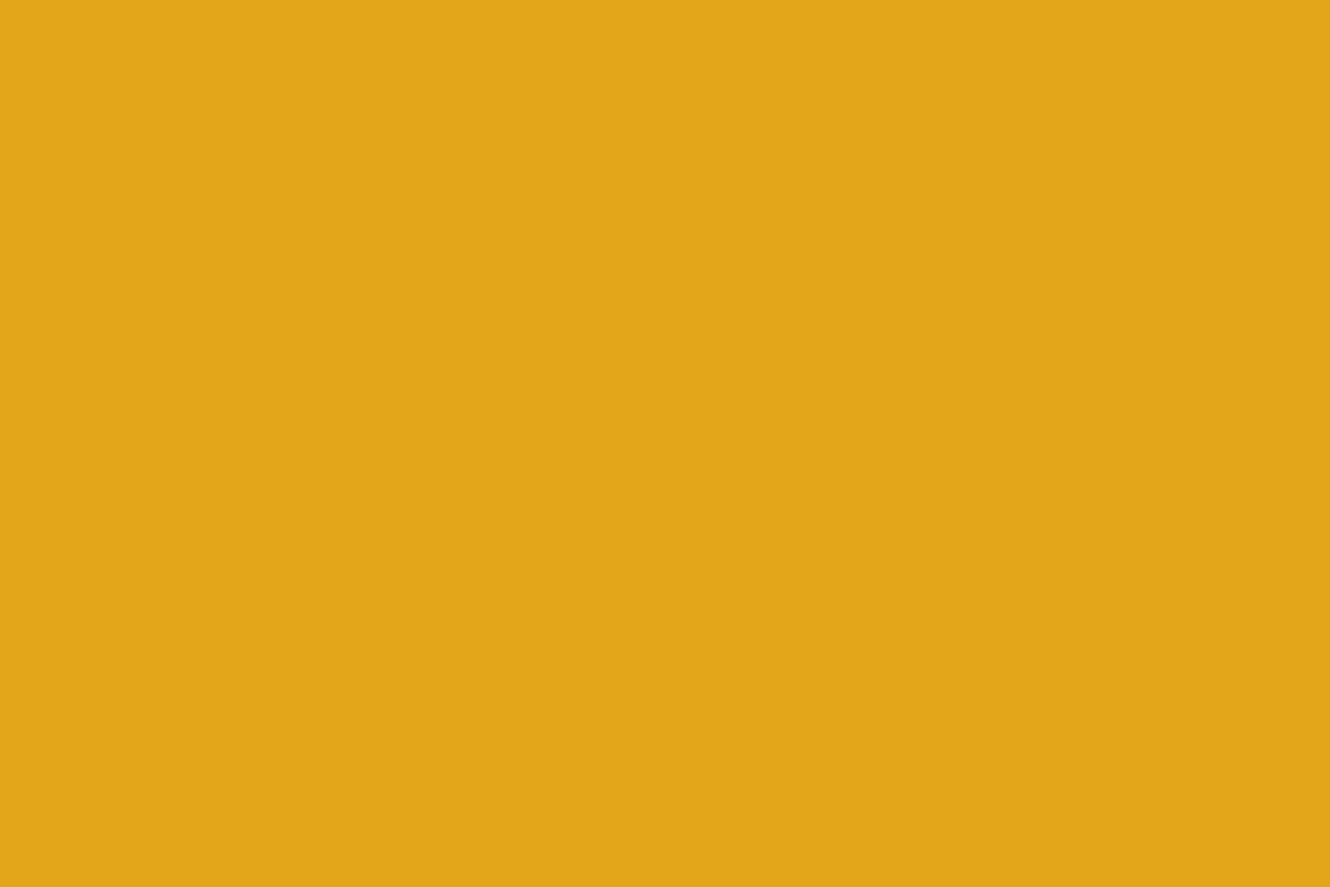 Montana Black 400ml Spray Paint – Melon Yellow (BLK 1045)