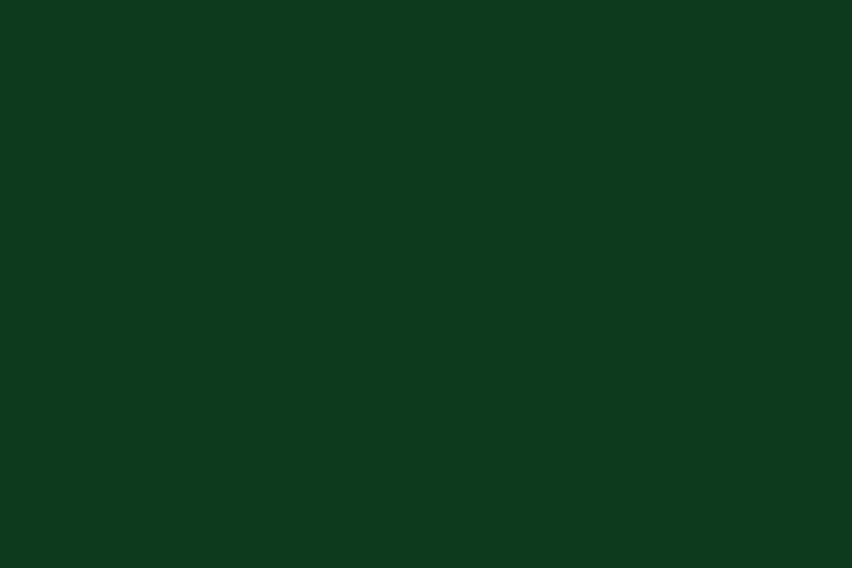 Montana Black 400ml Spray Paint – Banknote (BLK 6065)