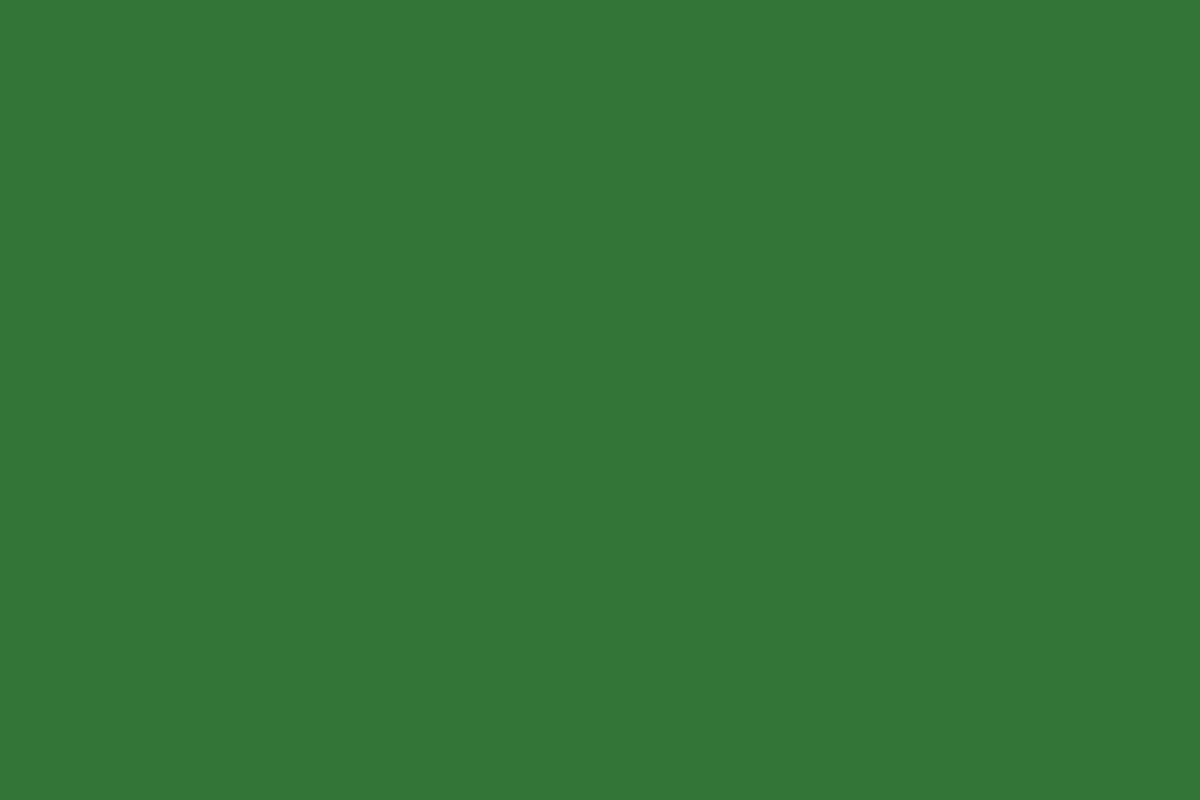 Montana Black 400ml Spray Paint – Plant (BLK 6095)