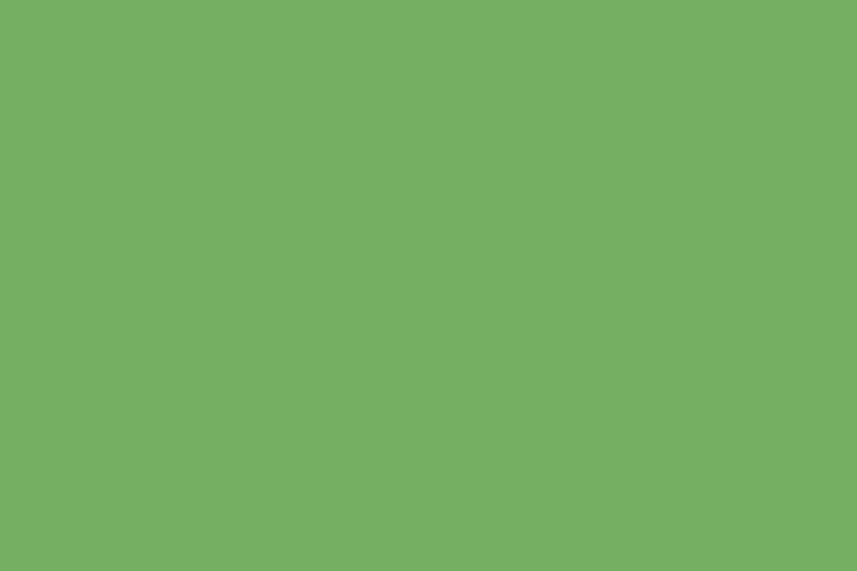 Montana Black 400ml Spray Paint – Revolt Green (BLK 6220)