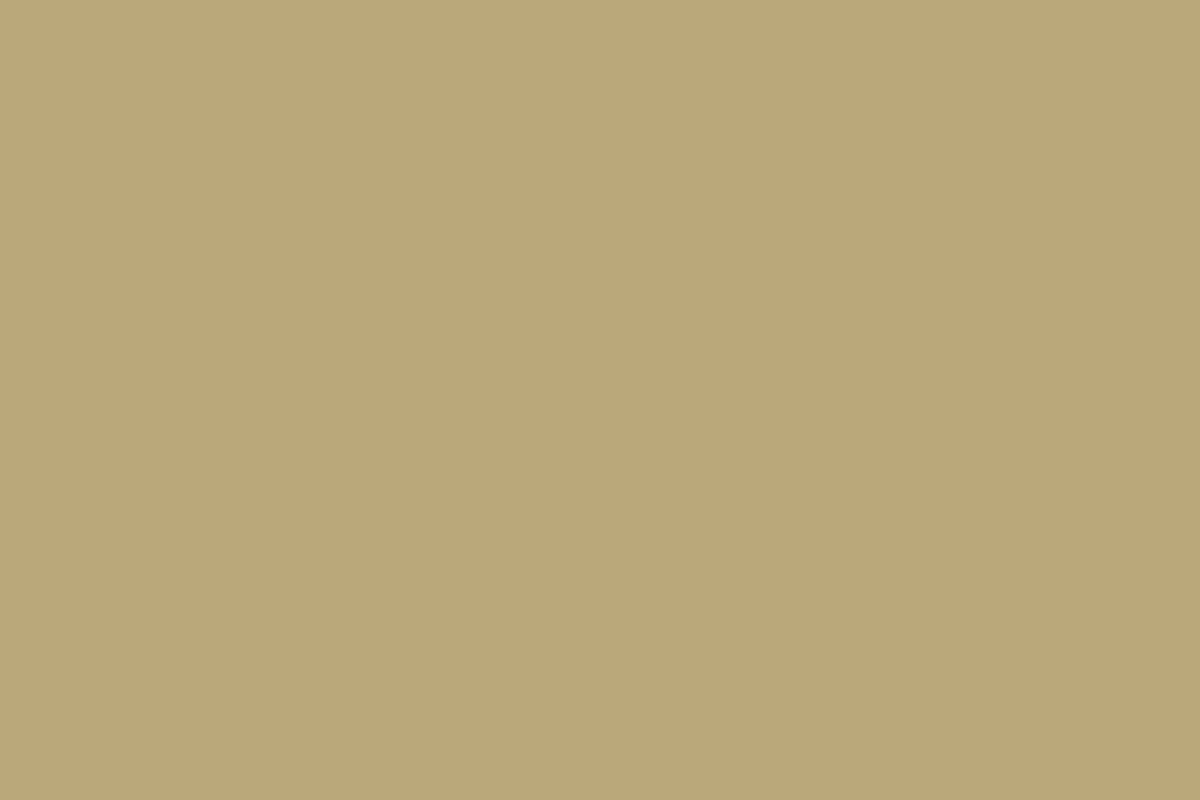 Montana Black 400ml Spray Paint – Arabian (BLK 8110)