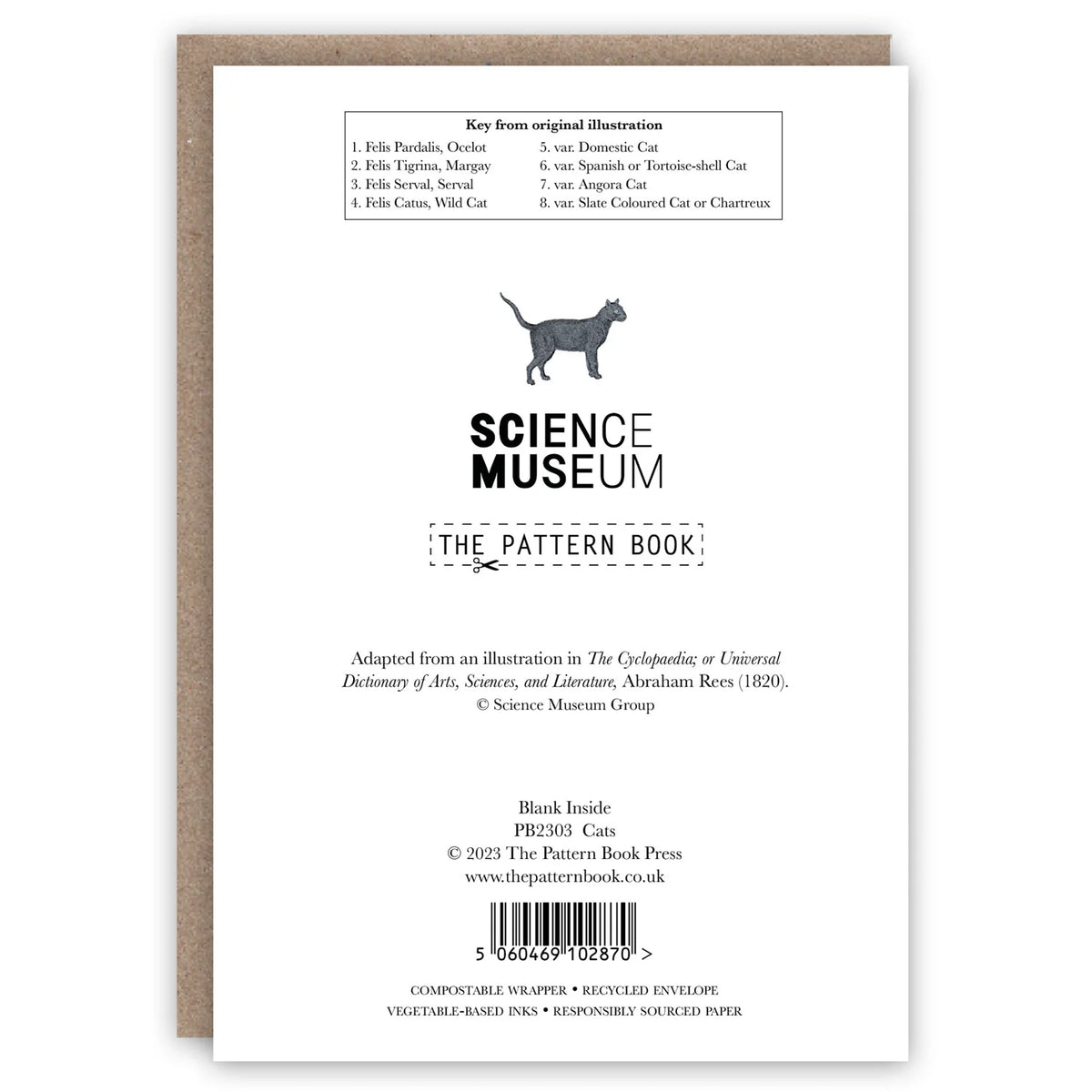 Cats Greetings Card