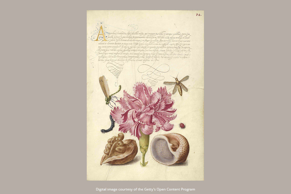 Paperblanks Pink Carnation Ultra Softback Flexi Journal – Plain, 176 Pages – design detail
