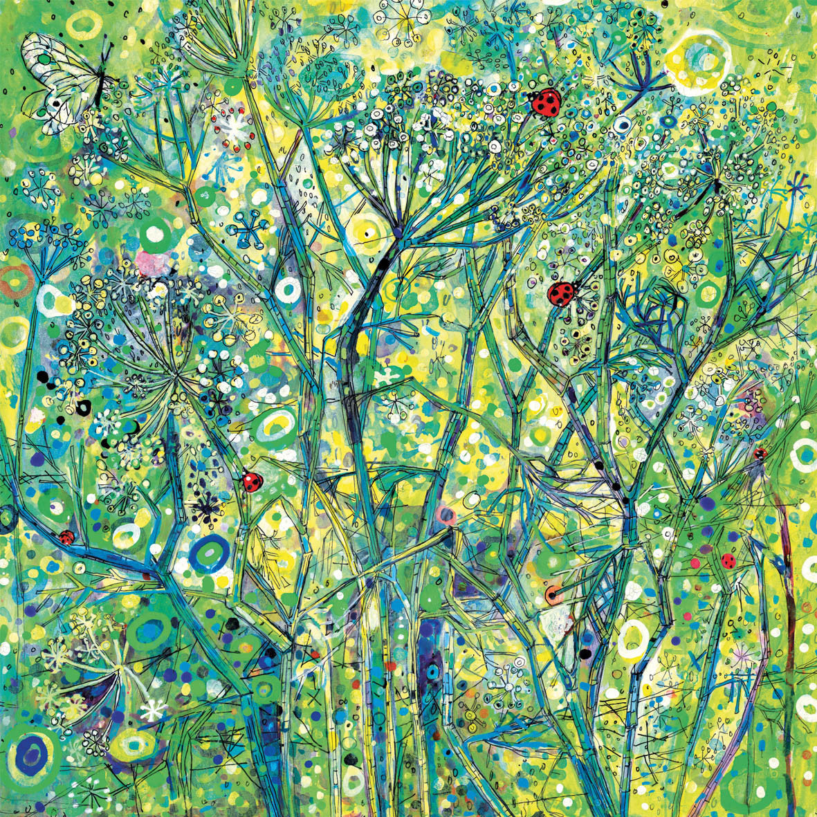 Ladybirds on Fennel Card by Sally Rich
