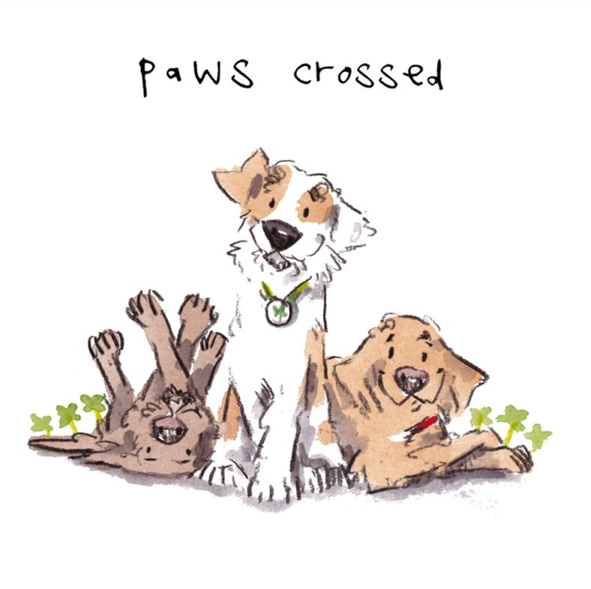 Paws Crossed Scruffy Dogs Good Luck Card