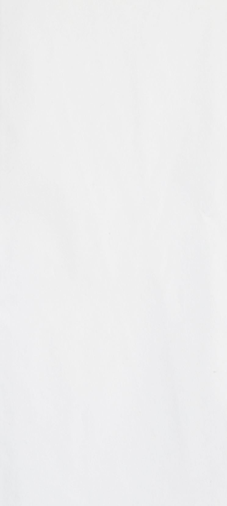 Glick Tissue Paper (4 Large Sheets 50x75cm) - White