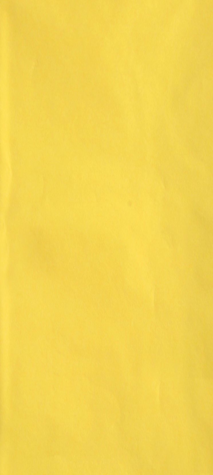 Glick Tissue Paper (4 Large Sheets 50x75cm) - Plain Lemon