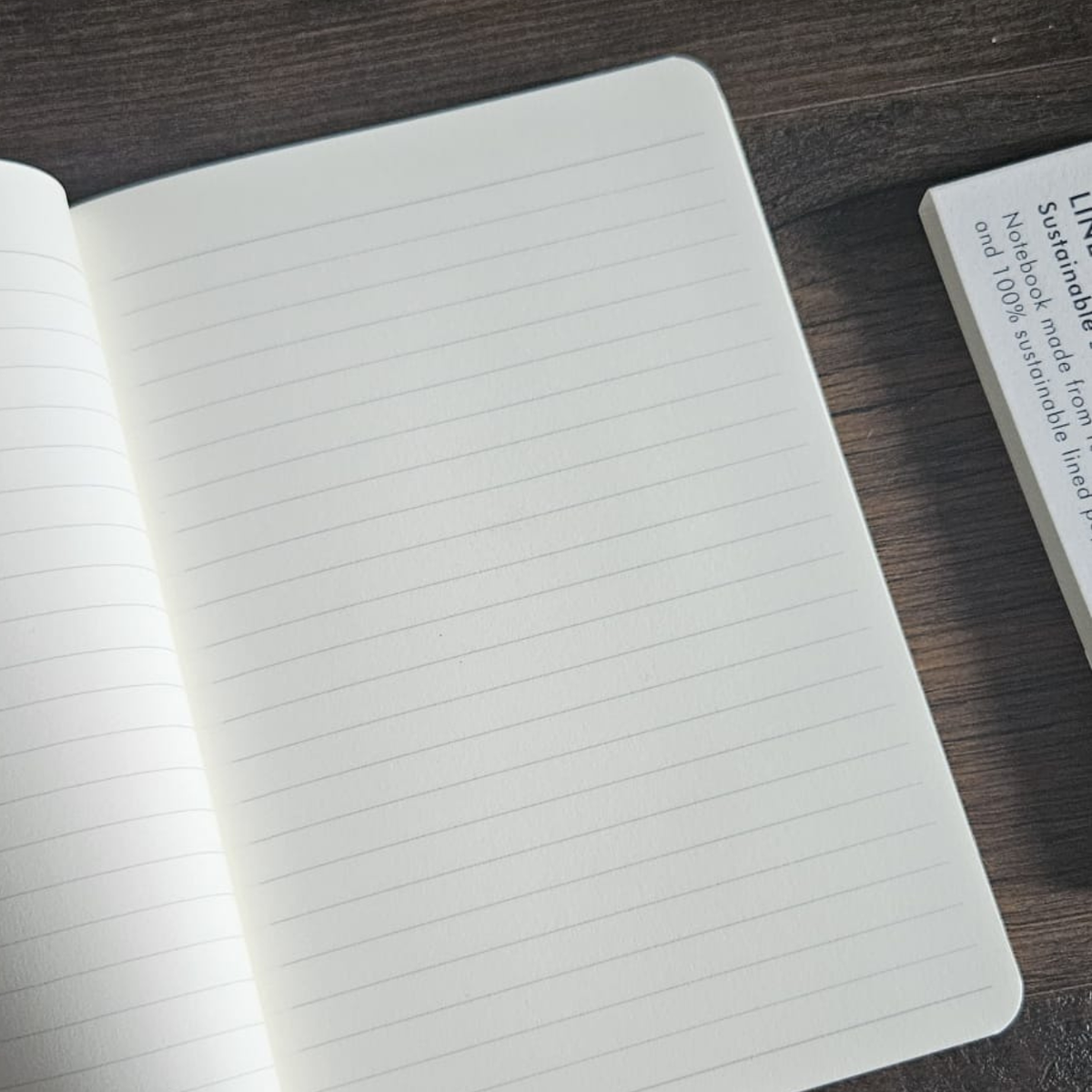 VENT ENVIRO A5 Lined Notebook – Flight Birds