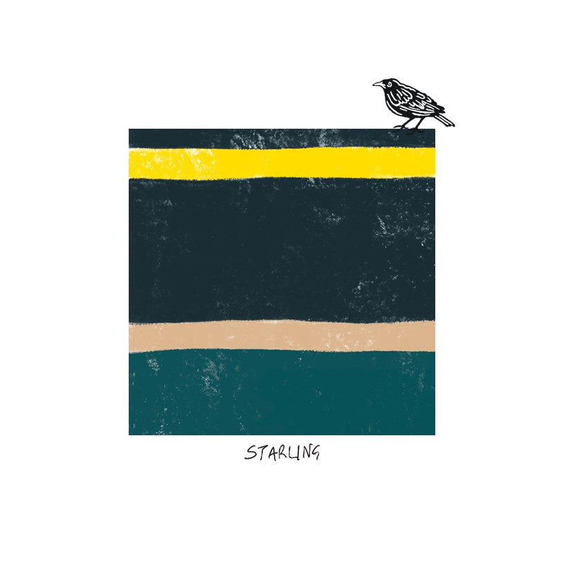 Starling Bird Tone Card
