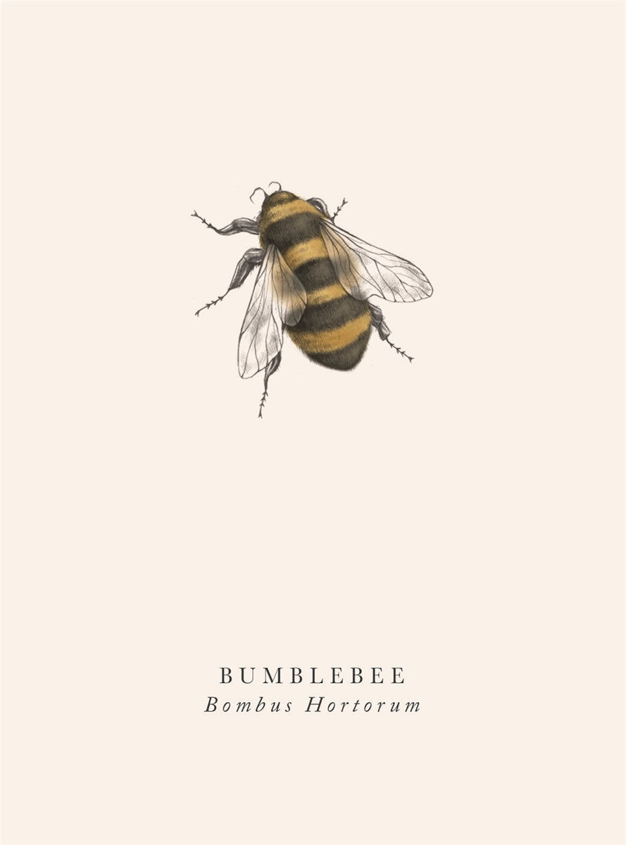 Bumblebee Book & Botanics Card