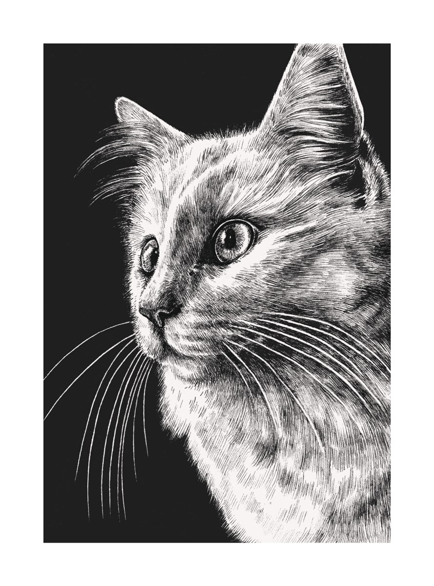 White Cat Ink & Shadow Card