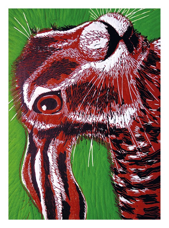 Green Hare Lop-Eared Merlin Card