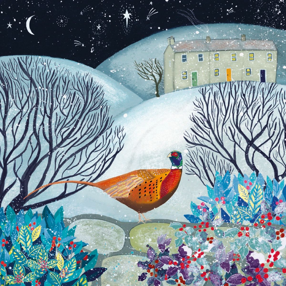Jacqueline Wild Midnight Pheasant Christmas Card Pack