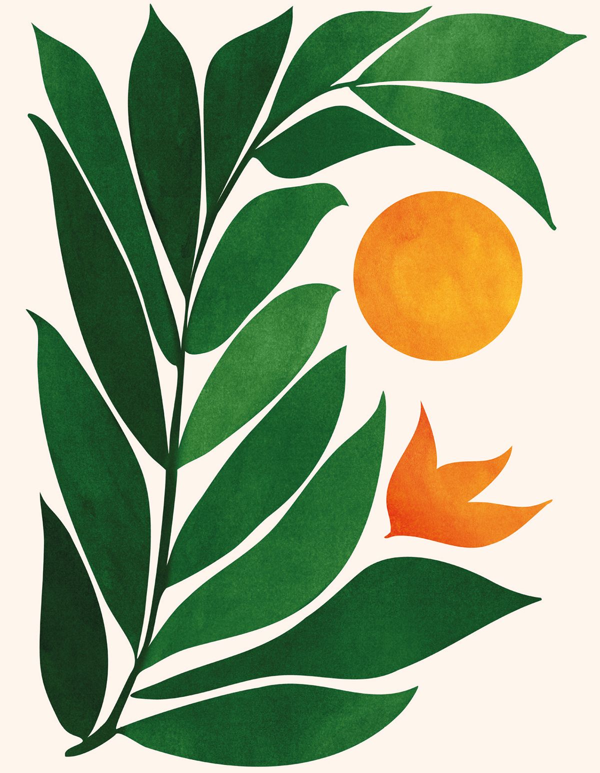 Kristian Gallagher Tropical Forest Sunset Greeting Card