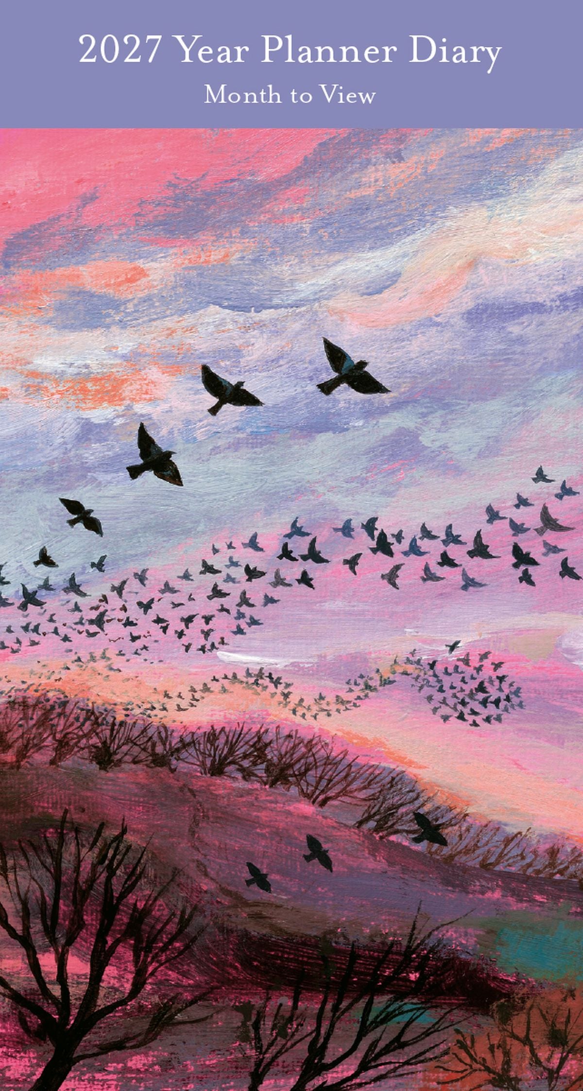 Lucy Grossmith Red Sky at Night 2027 Slim Year Planner Diary
