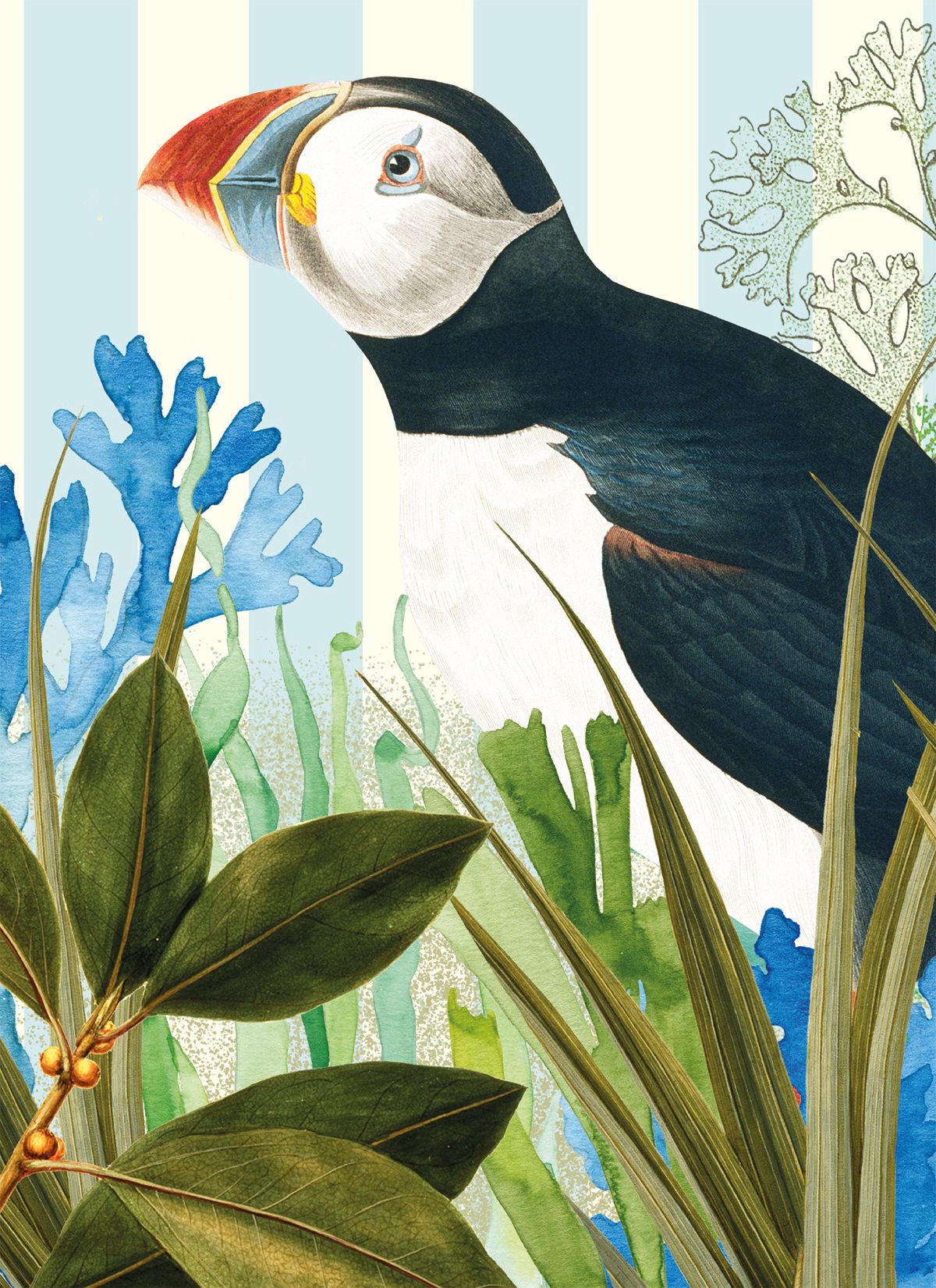 Natural History Museum Atlantic Puffin Art Card
