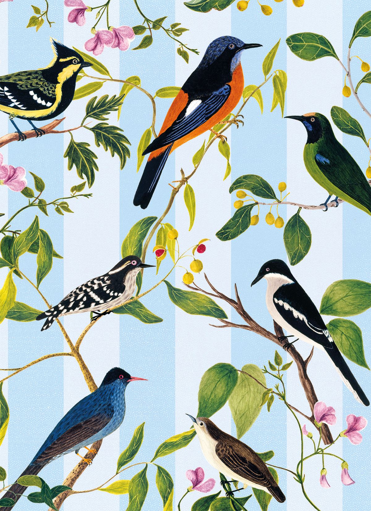 Natural History Museum Blue-Capped Rock Thrush Art Card