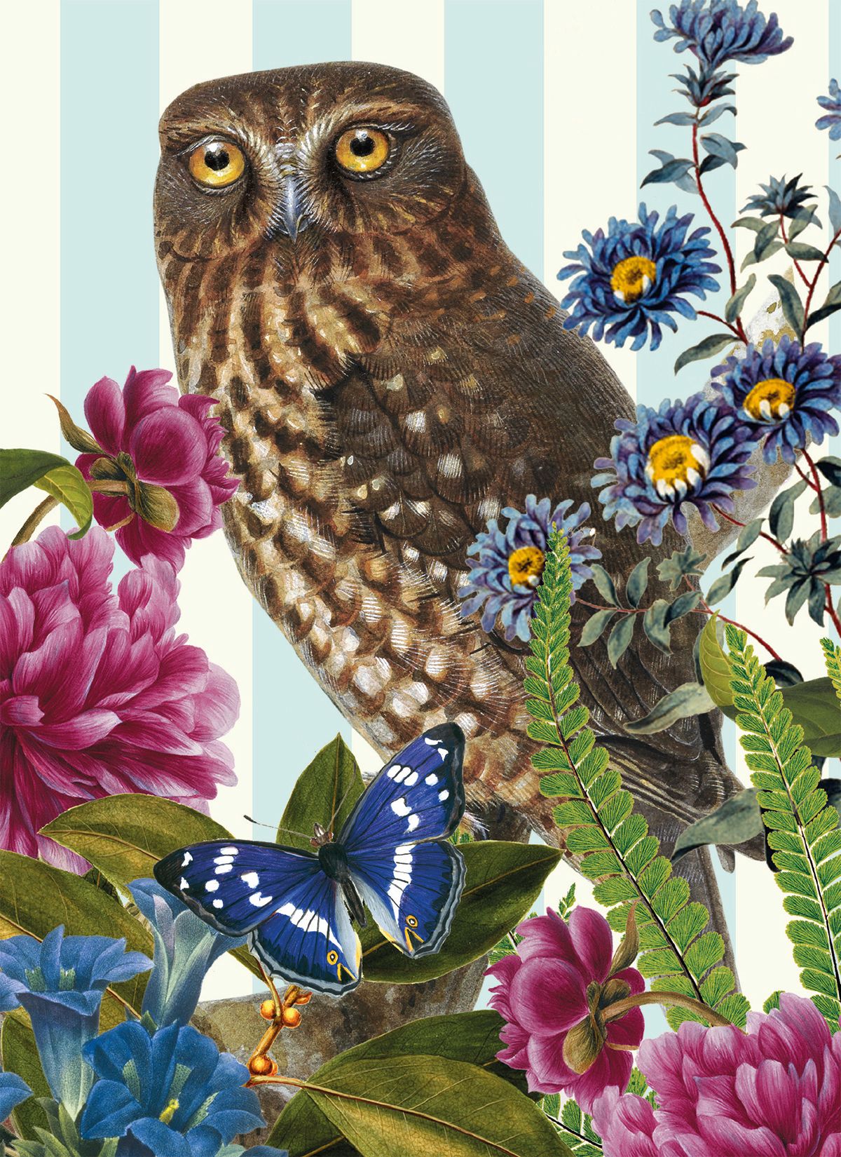 Natural History Museum Morepork Owl Art Card