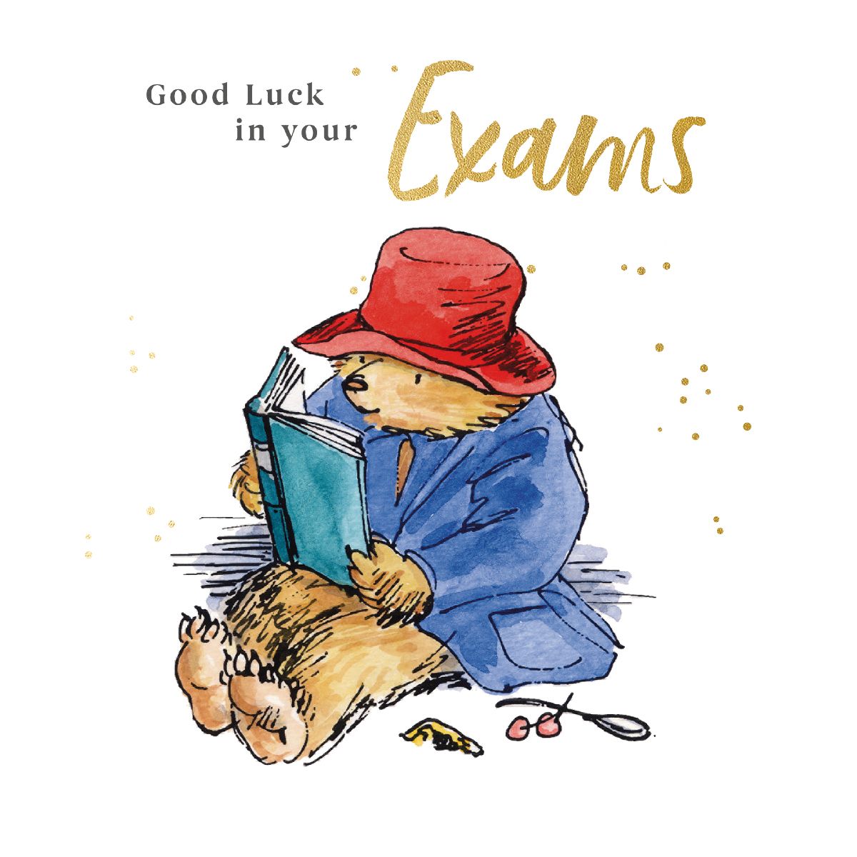 Peggy Fortnum Paddington Reading Exam Good Luck Card