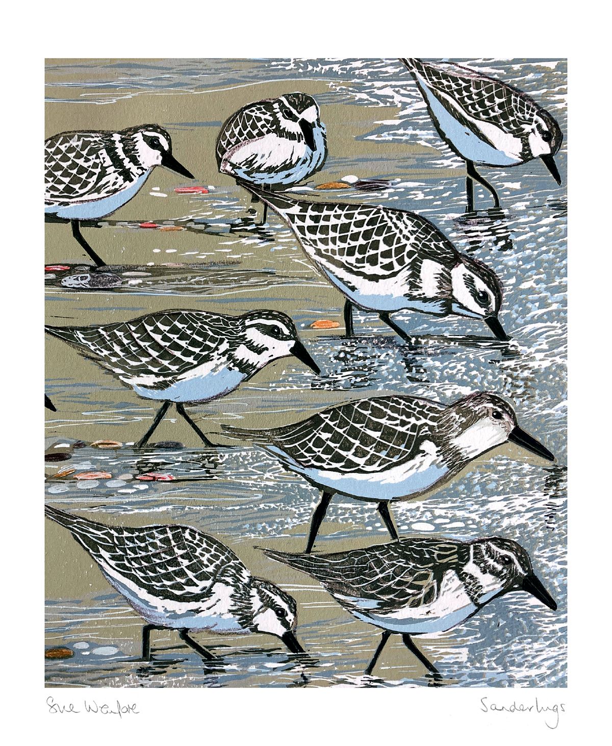 Sue Welfare Sanderlings Art Card
