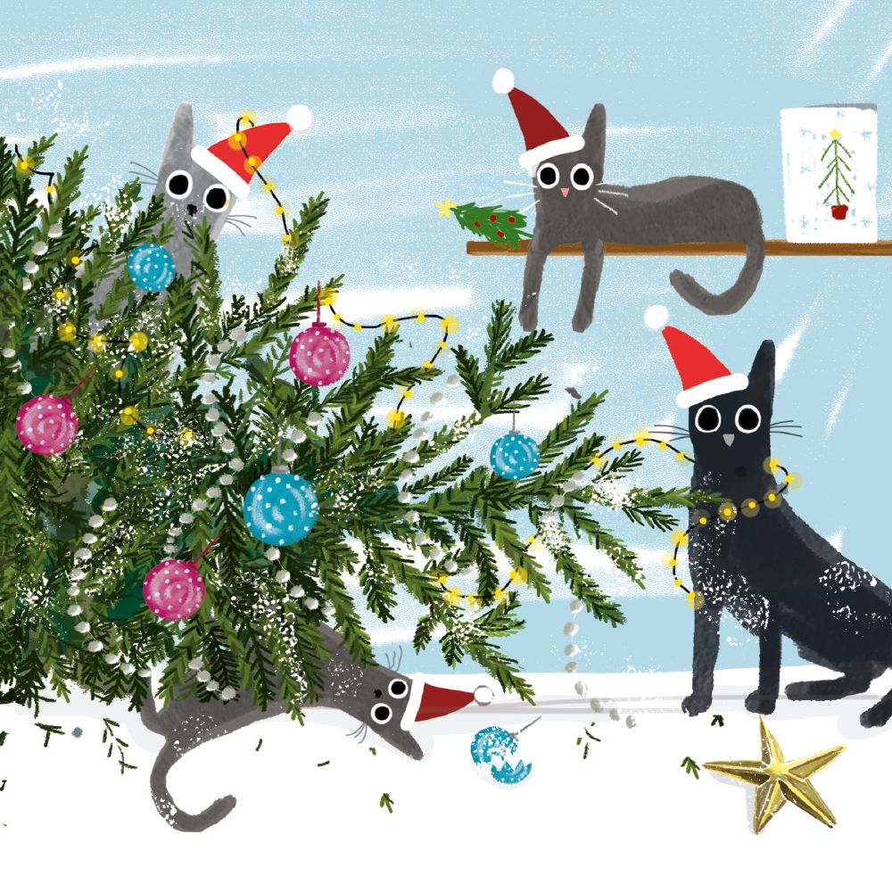 Museums & Galleries Ltd Christmas Cat-Astrophe Card Pack