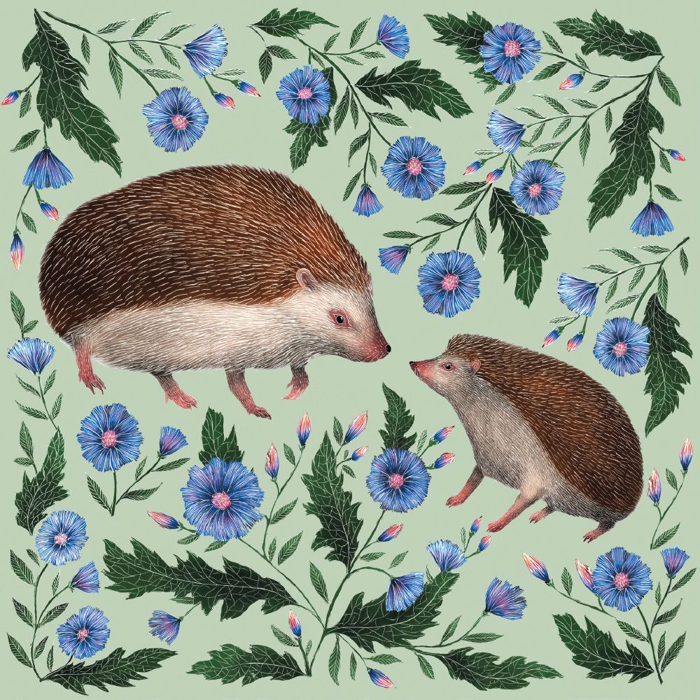 Catherine Rowe Hedgehogs Art Card