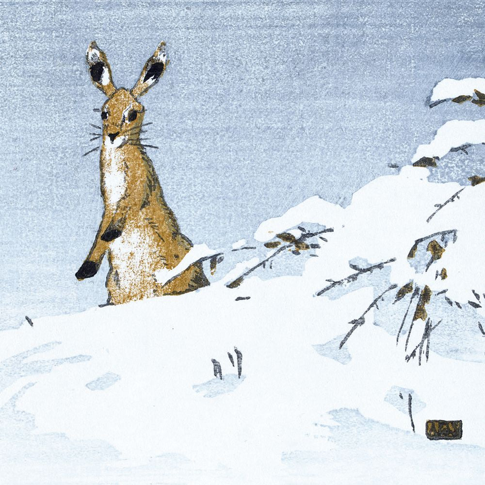 Allen W. Seaby Hare in Snow Christmas Card Pack