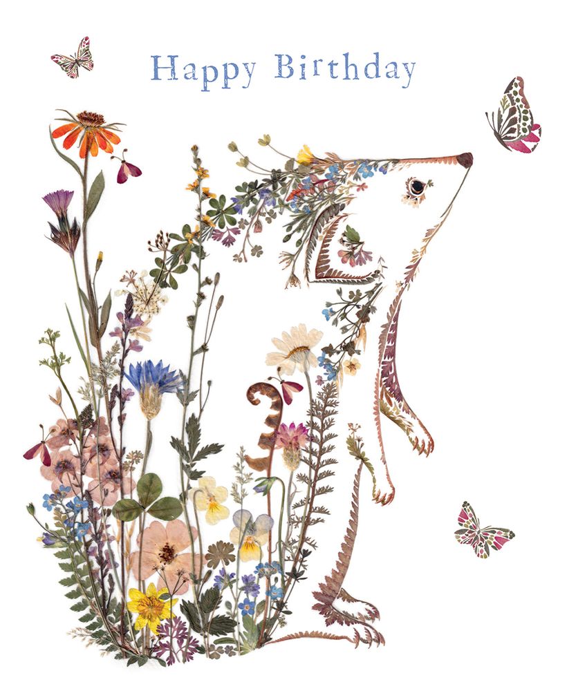 Helen Ahpornsiri Cottage Garden Hedgehog Birthday Card