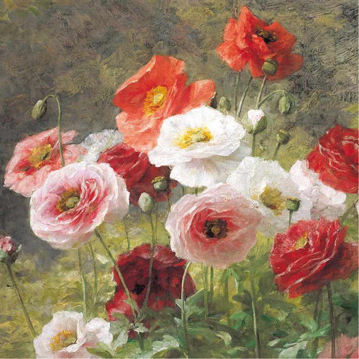 Poppies Lemaire Art Card