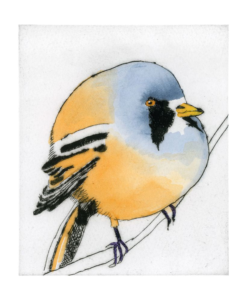Richard Spare Bearded Tit Art Card