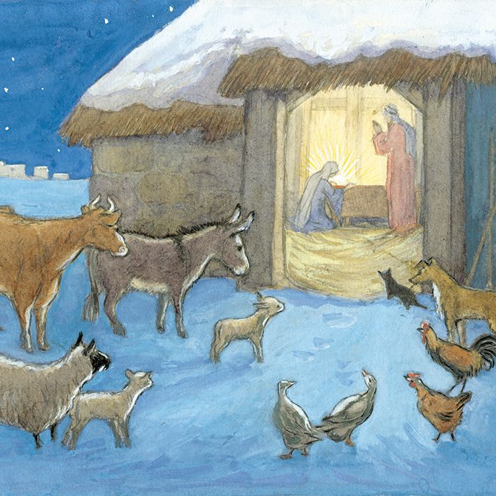 Molly Brett Nativity Christmas Card Pack
