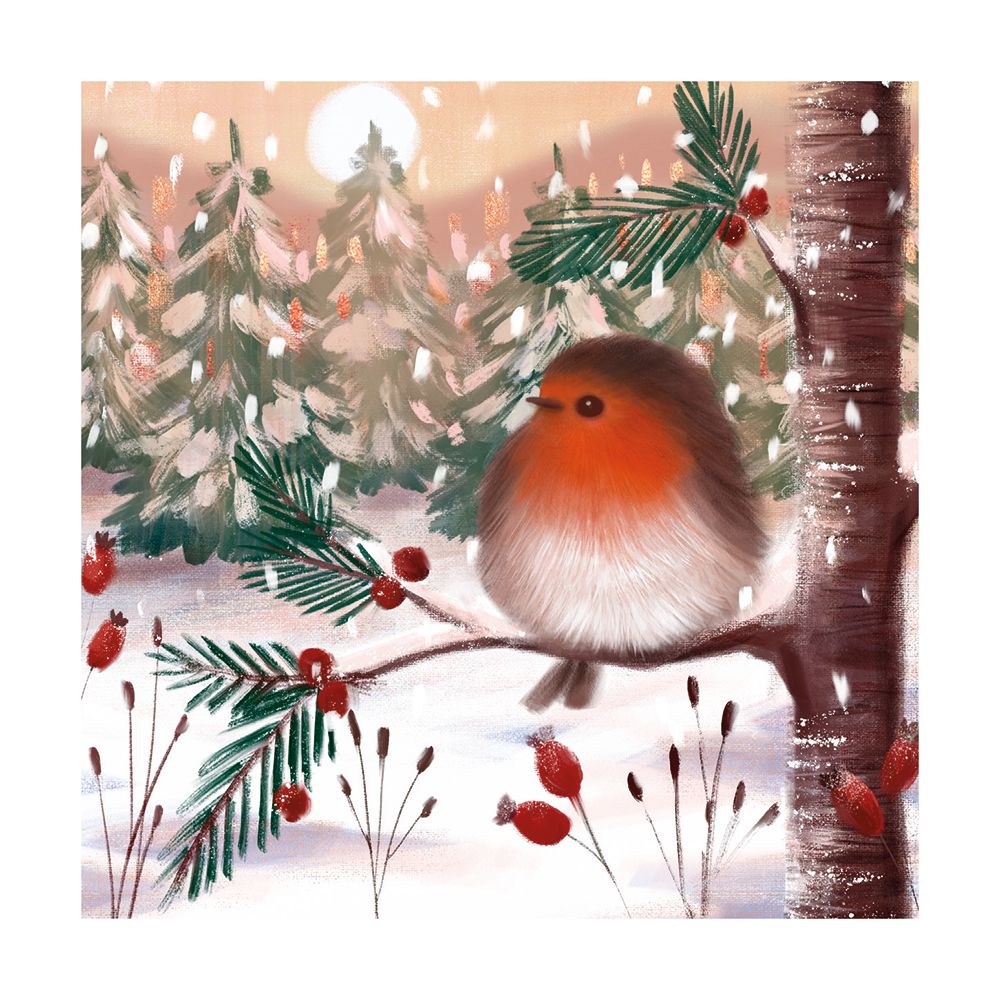 Catherine Worsley Fluffy Robin Christmas Card Pack