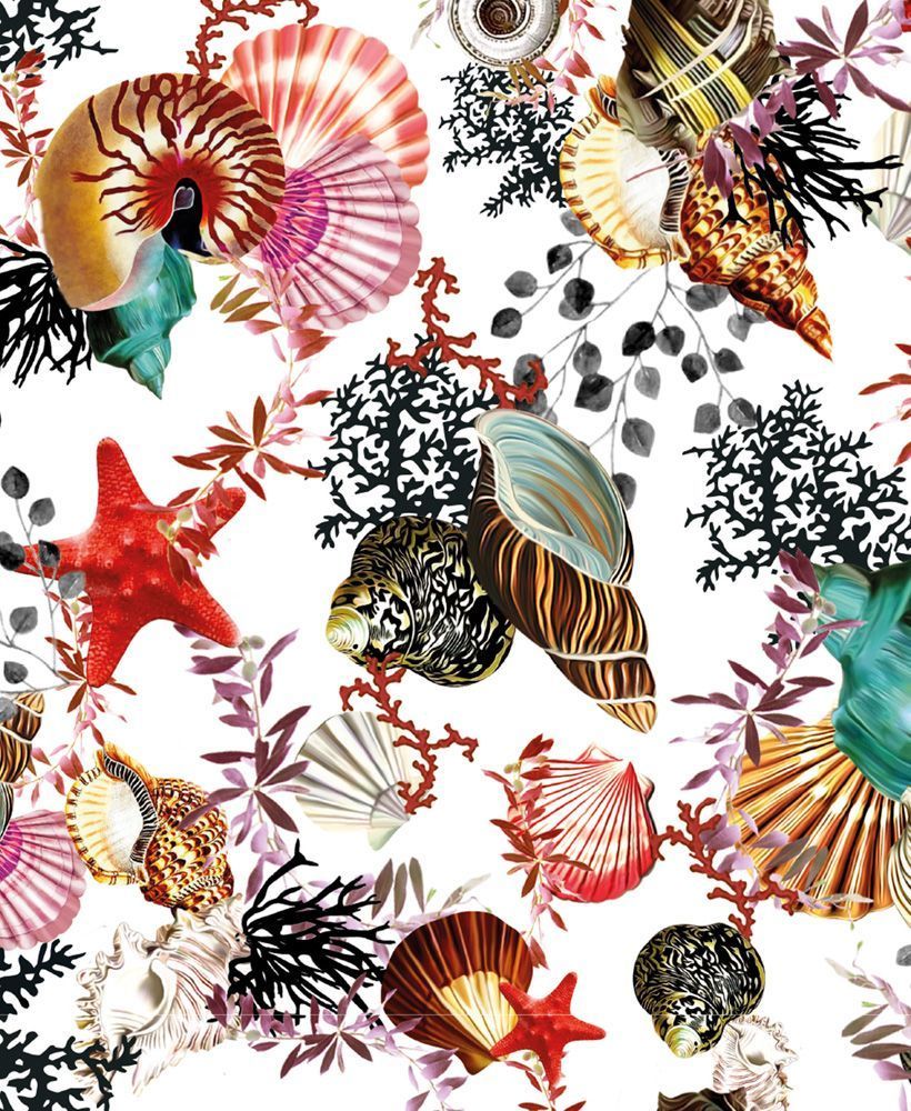 Mary Katrantzou Seashells Art Card
