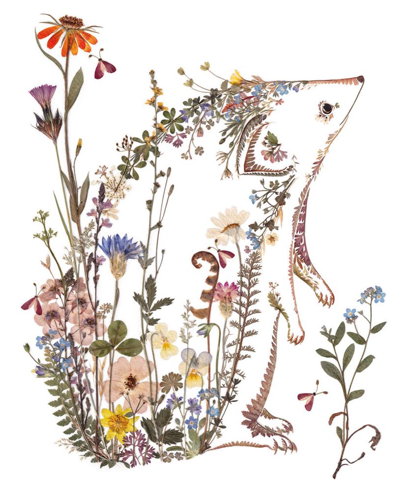 Helen Ahpornsiri Cottage Garden Hedgehog Art Card