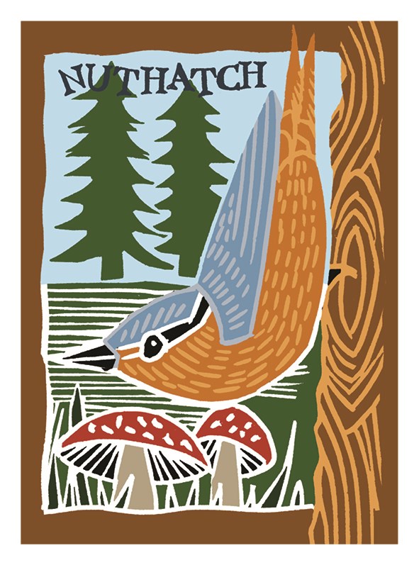 Nuthatch Songbird Card