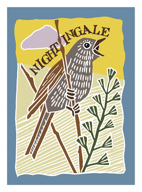 Nightingale Songbird Card