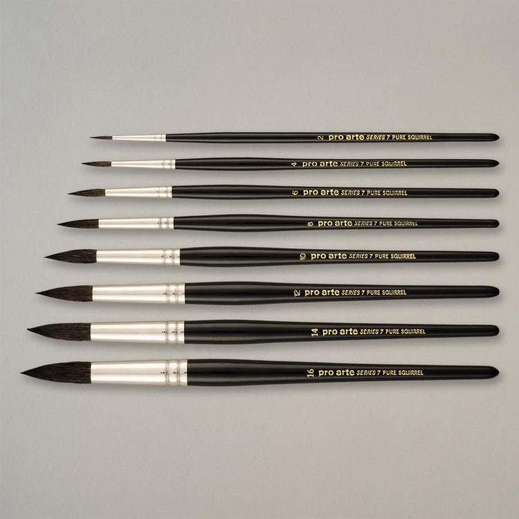 Pro Arte Squirrel & Mop Brushes