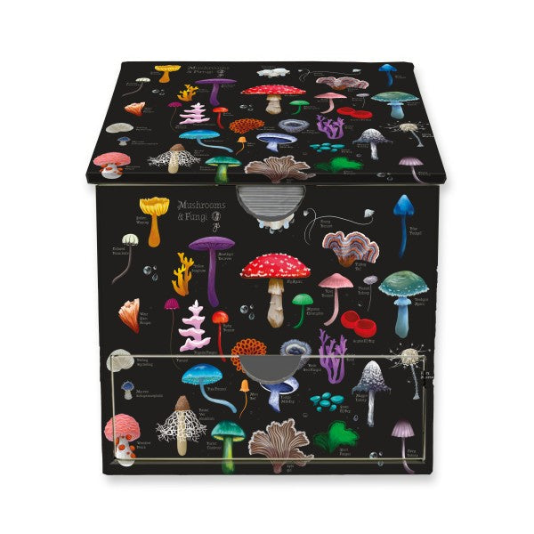 Notepads & Memo Blocks collection