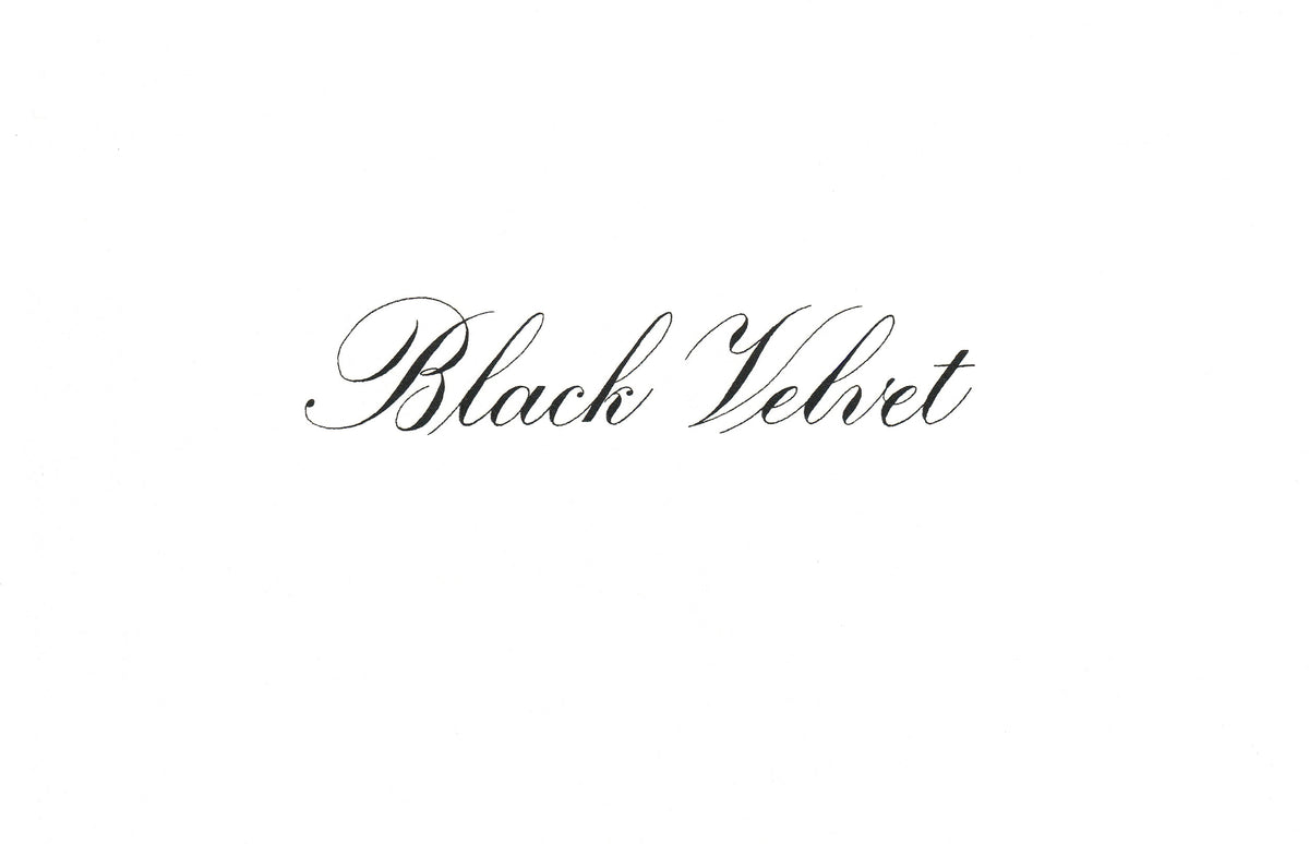 Speedball India Ink 29ml – Black Velvet (Matt)