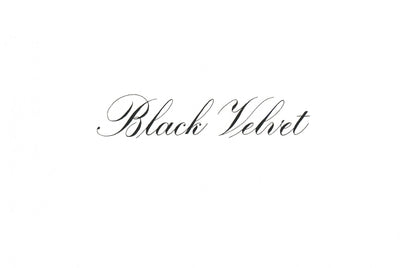 Speedball India Ink 29ml – Black Velvet (Matt)