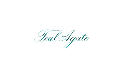Speedball India Ink 29ml – Teal Agate
